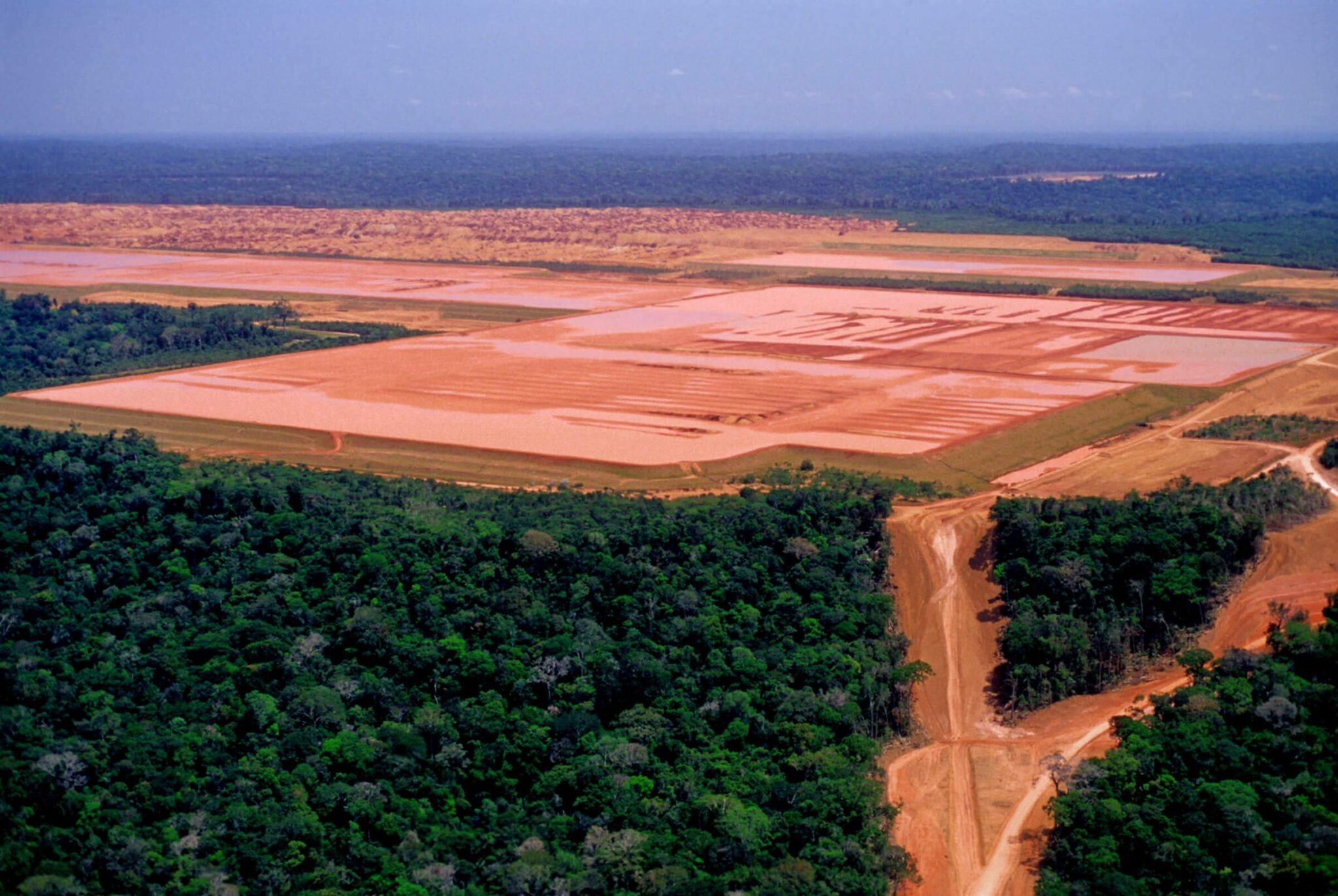 La D Forestation En Amazonie Br Silienne Atteint Des Records Enviro B